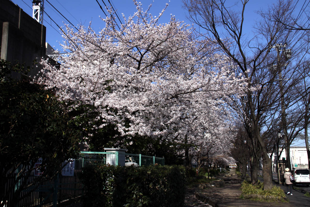 a0082347_22261118.jpg