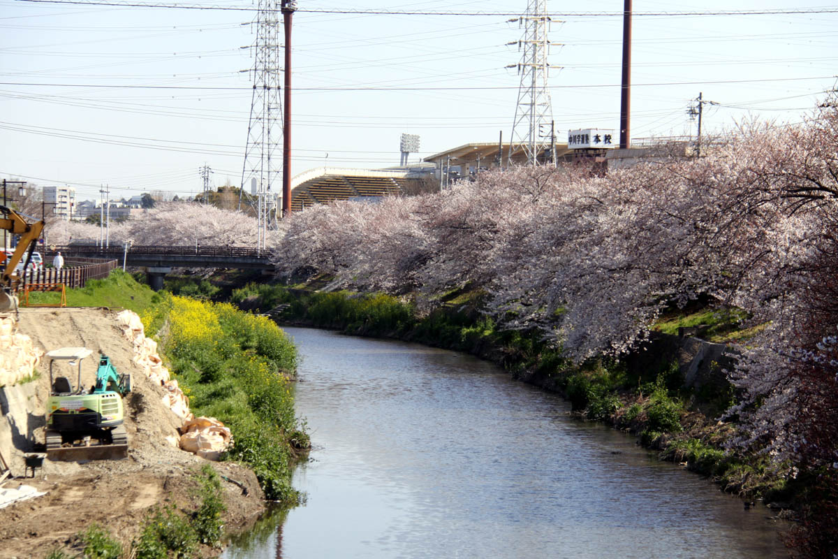 a0082347_2234192.jpg