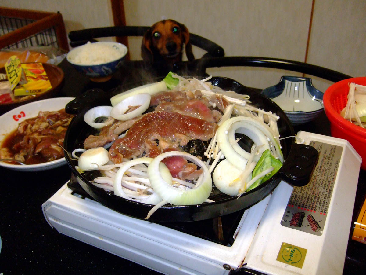 a0082347_2235179.jpg