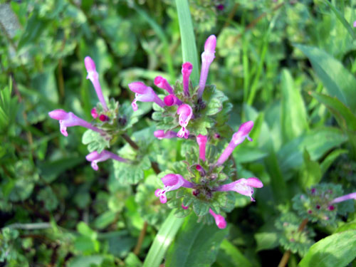 e0034047_20214314.jpg
