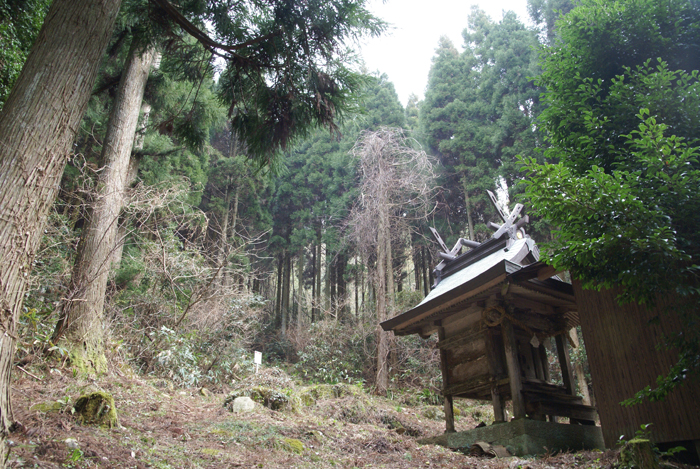 f0214649_1004381.jpg