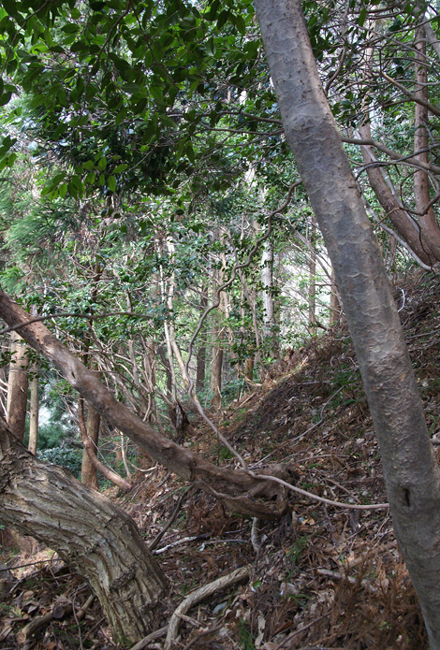f0214649_10103953.jpg