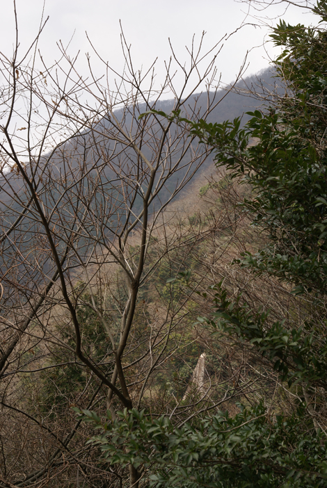 f0214649_10132173.jpg