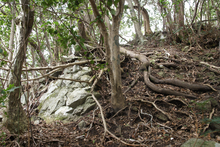 f0214649_1014931.jpg