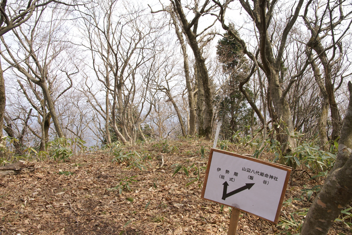 f0214649_10202543.jpg