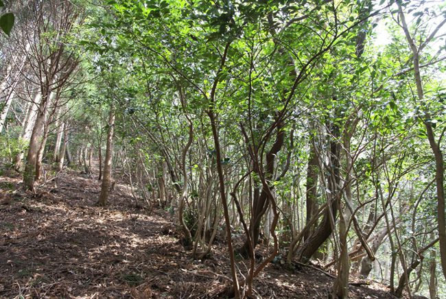 f0214649_107930.jpg