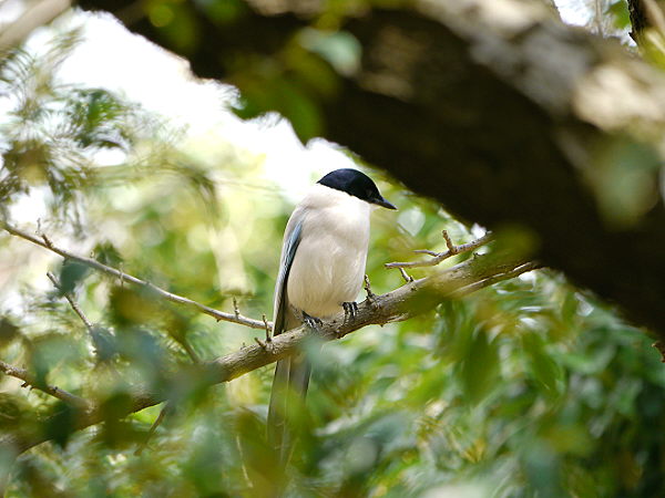 d0091754_0453880.jpg