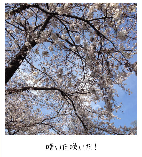 b0031055_059755.png