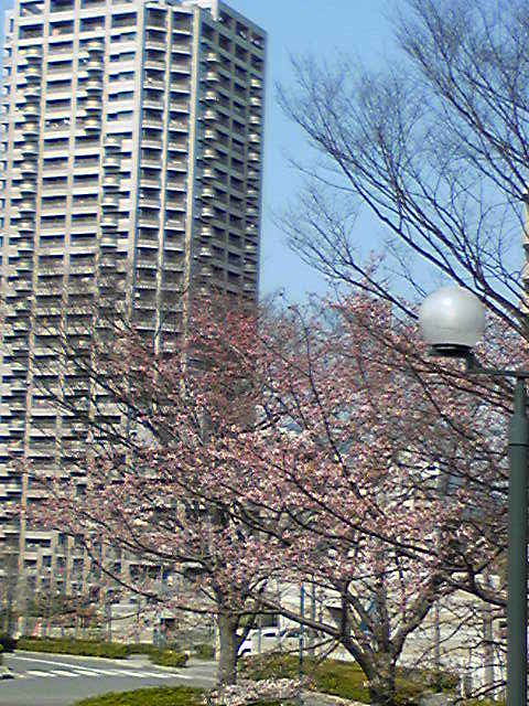 f0205855_17262143.jpg