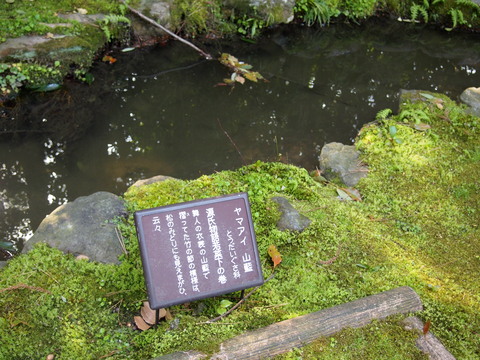 a0212656_23474466.jpg