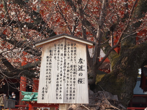 a0212656_23552481.jpg