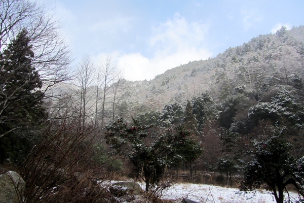f0007956_2374874.jpg