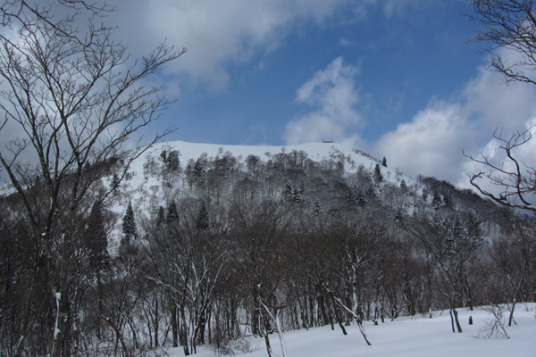 f0007956_2381325.jpg