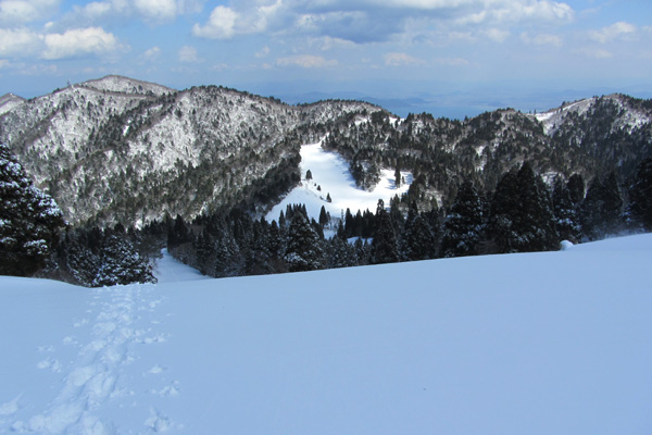 f0007956_2392458.jpg
