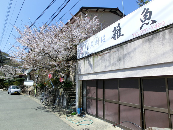 f0201157_014725.jpg