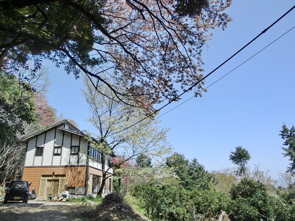 f0201157_02131.jpg