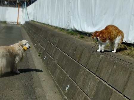c0097558_2322182.jpg