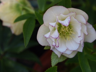 e0105760_15492261.jpg