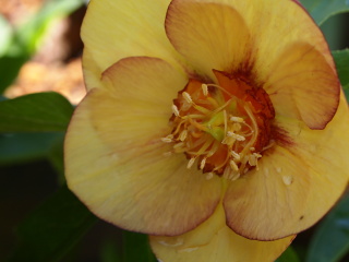 e0105760_1549345.jpg