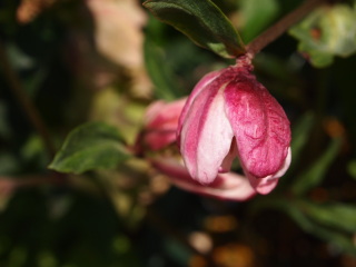 e0105760_15493672.jpg