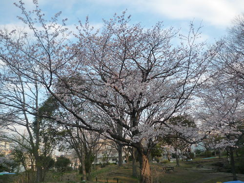 a0119563_12304332.jpg