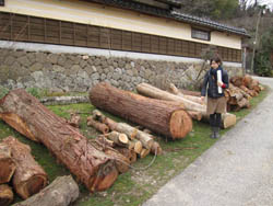 c0114063_2325364.jpg