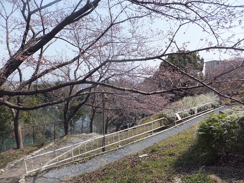 d0158464_20355826.jpg