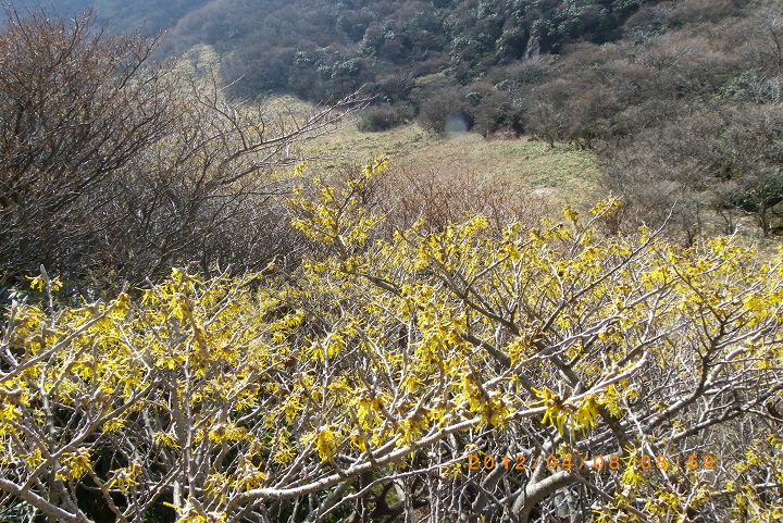f0016066_21353379.jpg