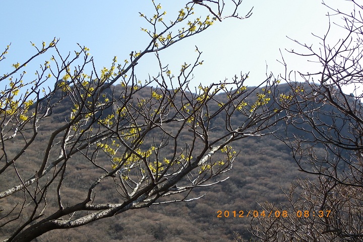 f0016066_21364464.jpg