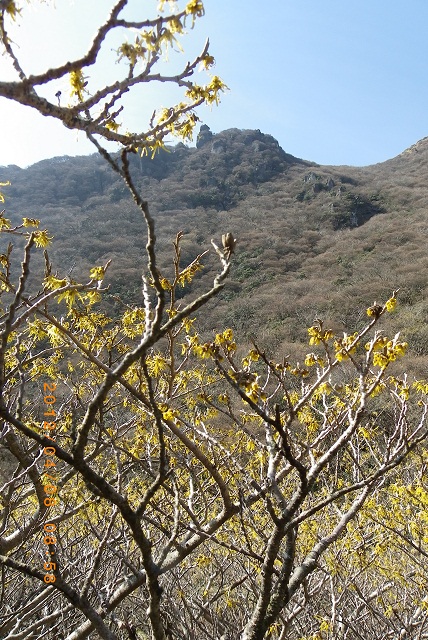 f0016066_21395188.jpg