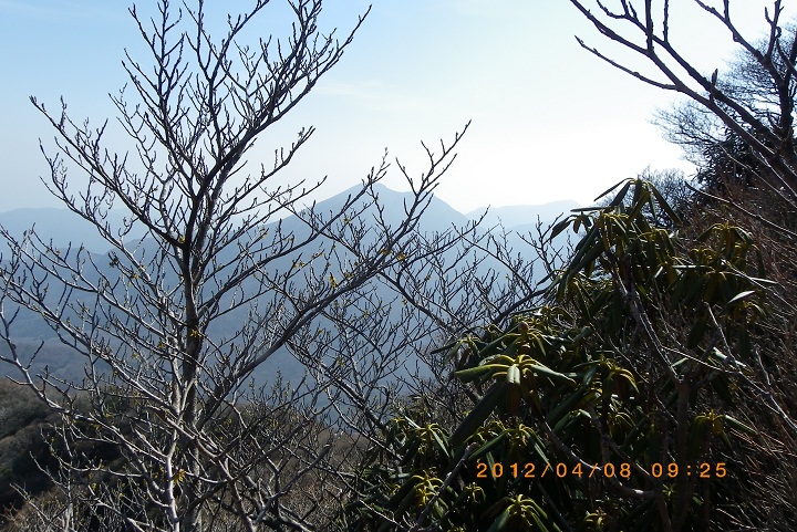 f0016066_21462445.jpg