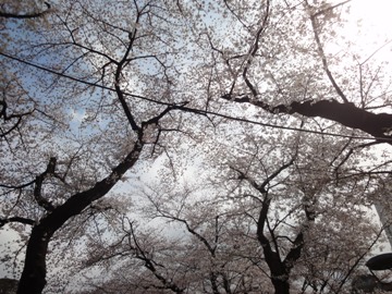 c0102268_22141214.jpg