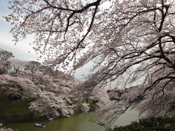 c0102268_2217113.jpg