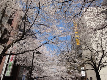 c0102268_226719.jpg