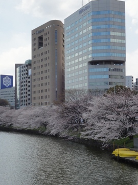 c0102268_2281019.jpg