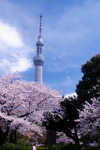 e0045768_22472443.jpg