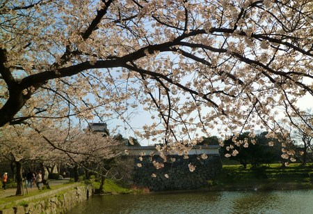 b0223370_10572615.jpg
