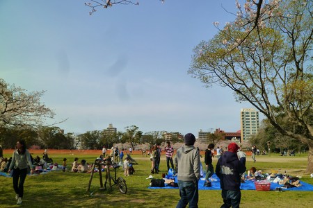 b0223370_1058497.jpg