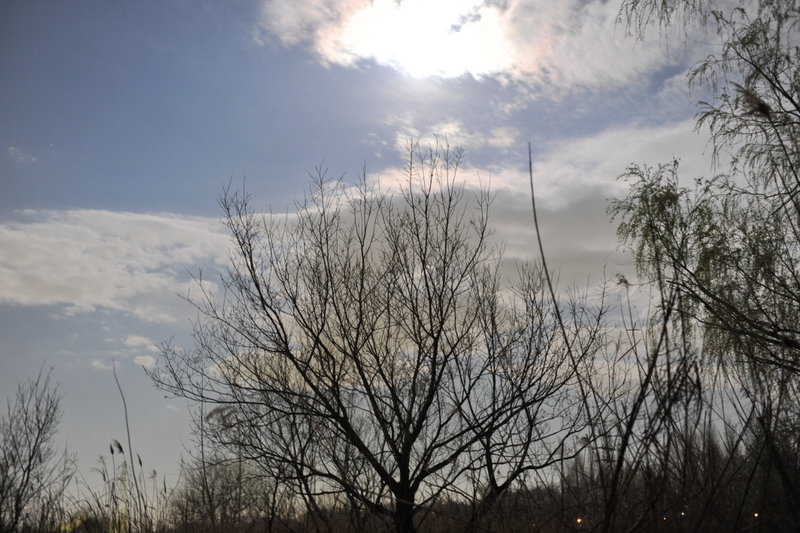 c0195570_12261396.jpg