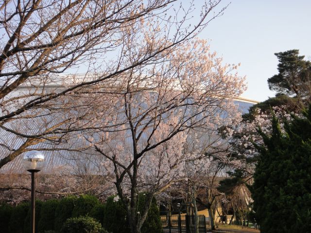 a0076671_2245278.jpg