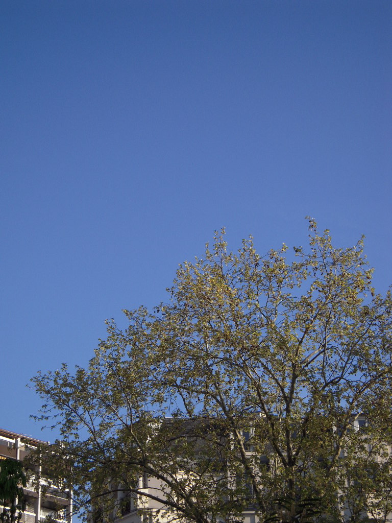 b0169771_1801246.jpg