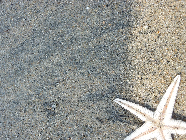c0214272_2058015.jpg