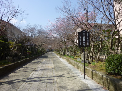 c0216472_1828698.jpg