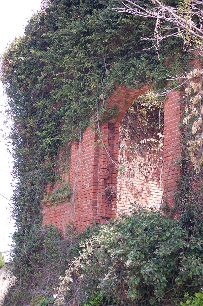 e0252879_026556.jpg