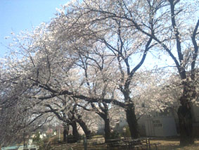 a0036780_2203318.jpg