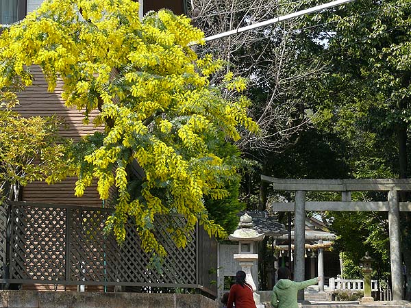 e0056880_210456.jpg