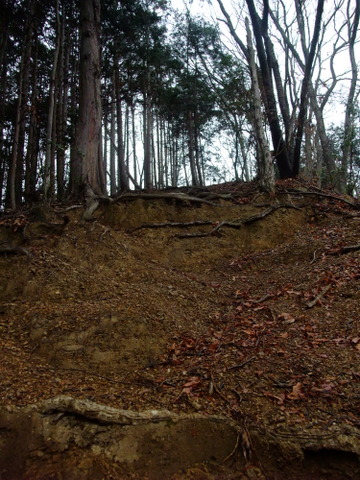 a0043982_14353130.jpg