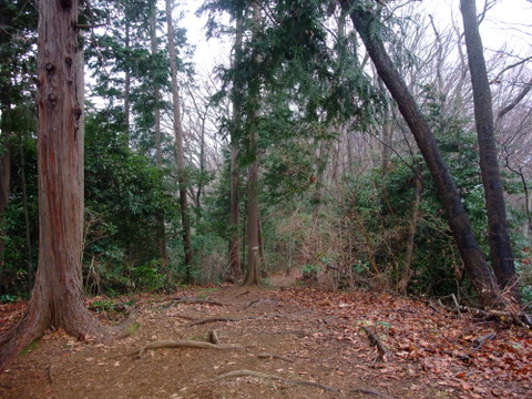 a0043982_1435475.jpg