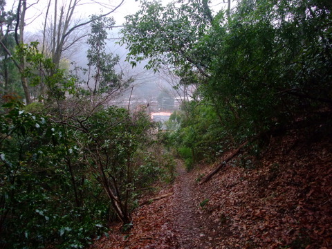 a0043982_1435650.jpg