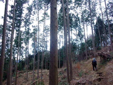 a0043982_15301490.jpg